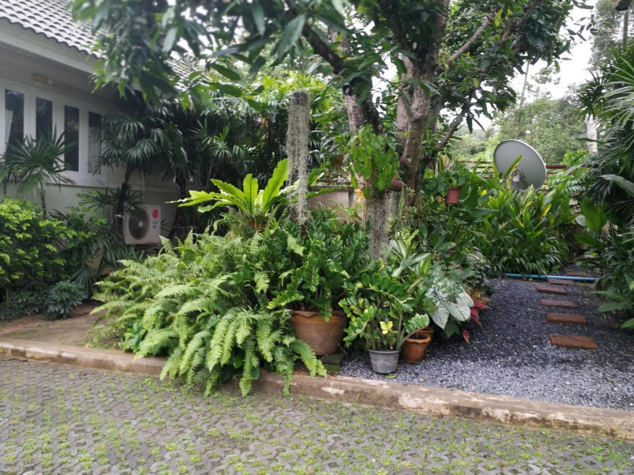 Reuan Phaolai Bophut Exterior photo